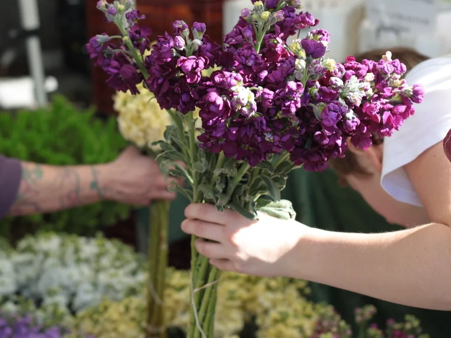 A customer gathers a bunch of purple flowers at a florist’s stall